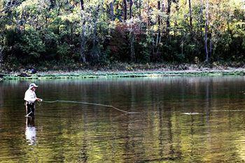 The White River Inn Bull Shoals Dış mekan fotoğraf